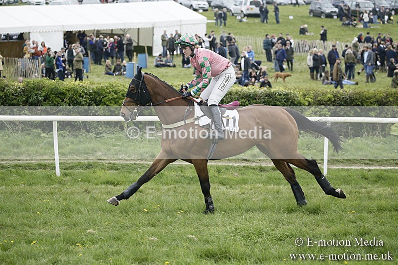 PtP 170417 494 - Old Berks Point-to-Point Lockinge 17/04/17