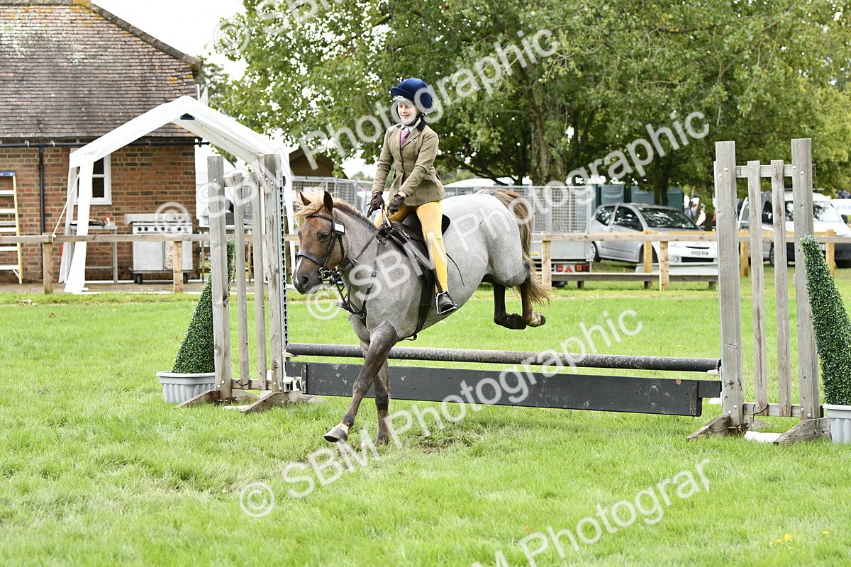 SBM_41323 - S32 - Mountain & Moorland Working Hunter Pony