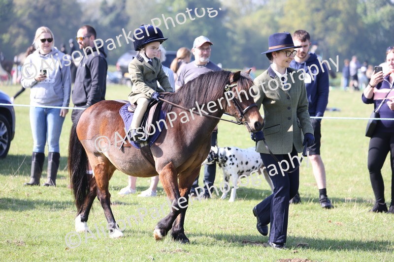 20250427-0122 - Class 30 - Tiny Tots Lead Rein