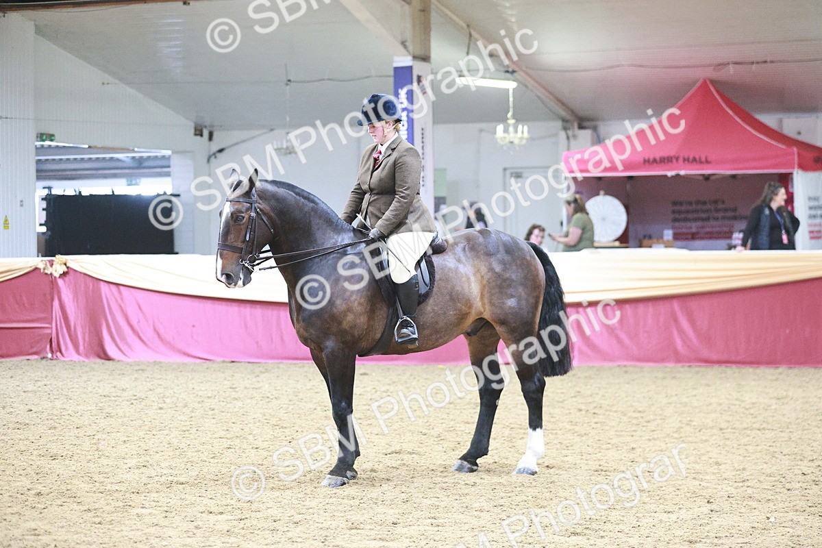 SBM_08858 - Class 12R - Regional Ridden Pre-Vet