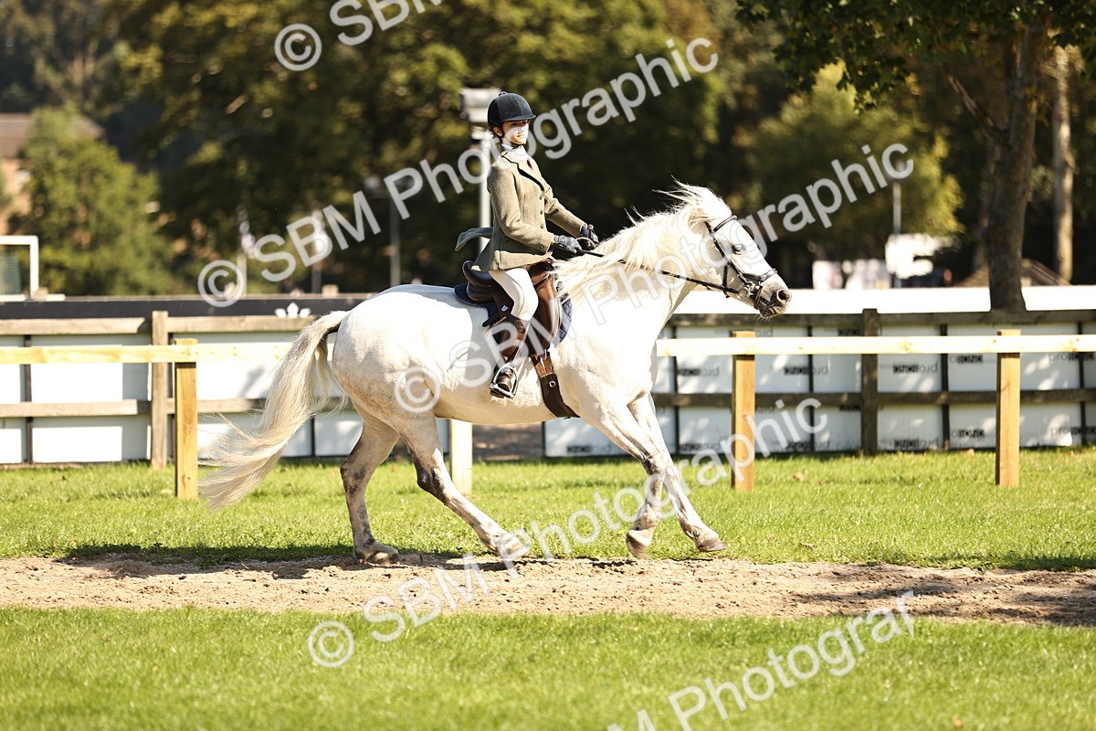 SBM_19156 - S3 - TSR Ridden Pony Showing