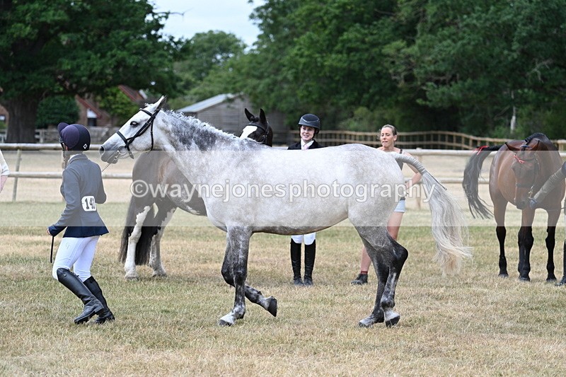 WJ7_1884 - Class 4a Prettiest Mare 14.2hh and over hand