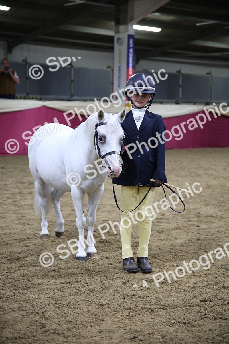 SBM_18773 - Class D IH Pony Champ