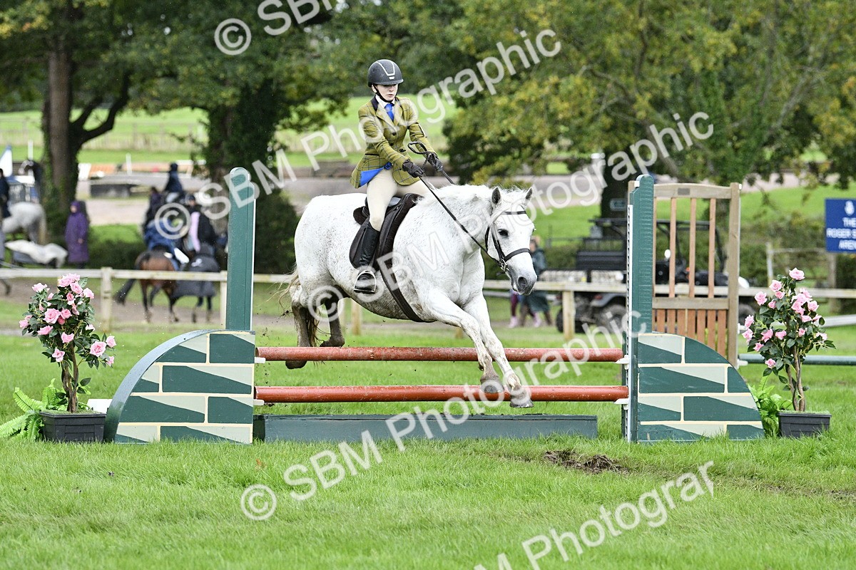 SBM_42265 - S32 - Mountain & Moorland Working Hunter Pony