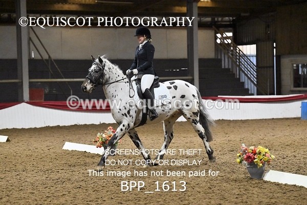 BPP_1613 - PC GRASSROOTS DRESSAGE