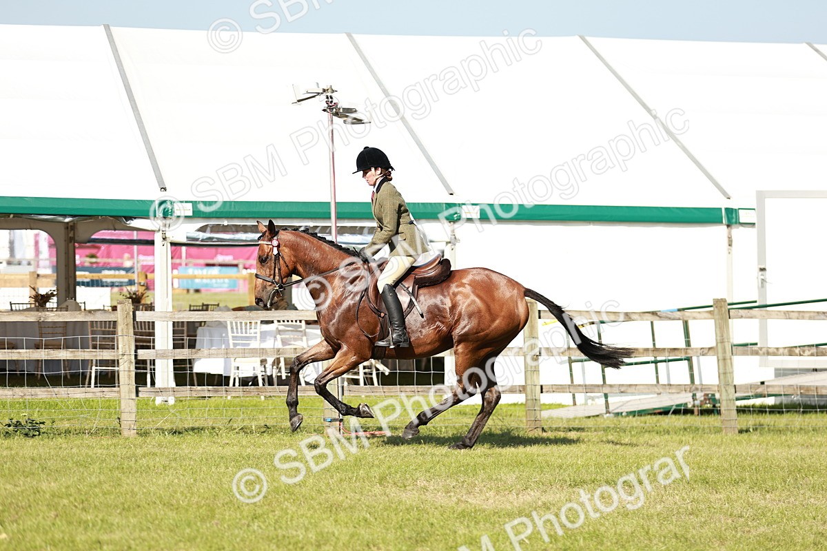 SBM_19250 - Class 115-116 - LIHS BSHA Rising Star Working Hunter & Show Horse