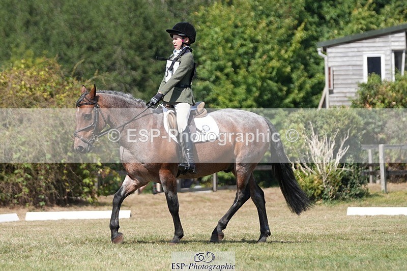 250823A-133247-31215 - Arena A