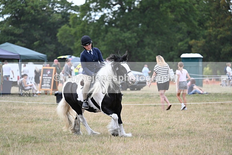 WJ7_5364 - Class 12 Ridden Cob