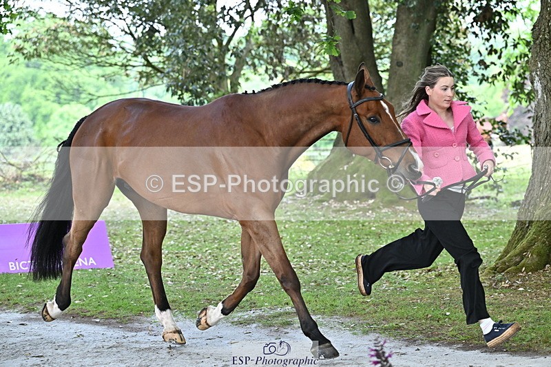 250521A-143859-00143 - A-013-Marianna.Sawyer-KINGSTON