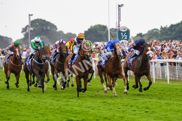 170623-Race 2-Wild Lion-0347 - Race 2 2.35pm Sky Bet Handicap