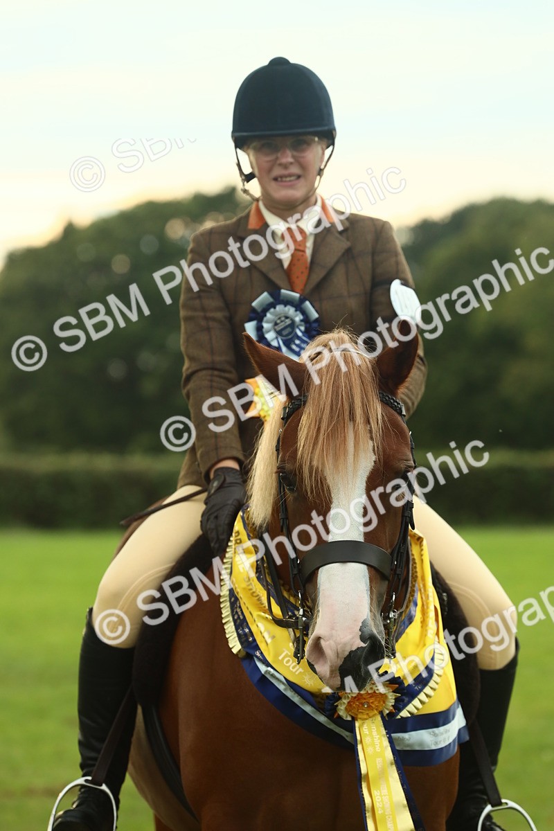 SBM_75315 - Super Supreme Championship