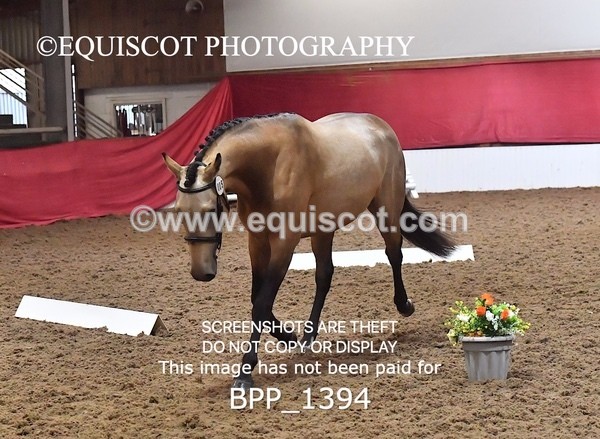 BPP_1394 - MORNING 9AM - 12PM