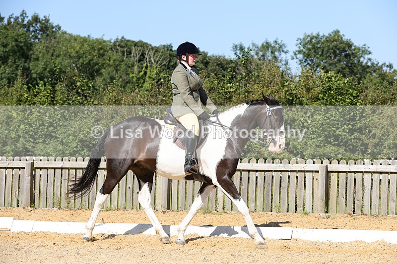 1X9A7854 - Class 10:Riding Horse