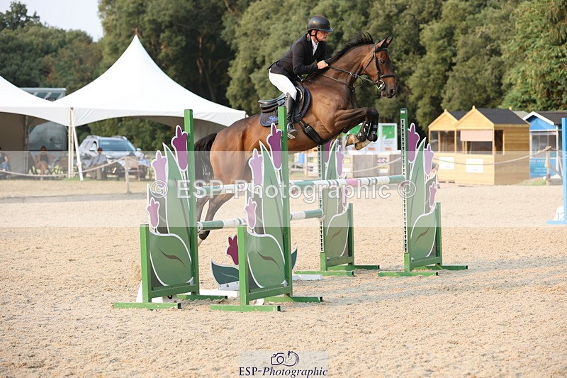 250816A-180210-03243 - Cls 11 Snr Foxhunter