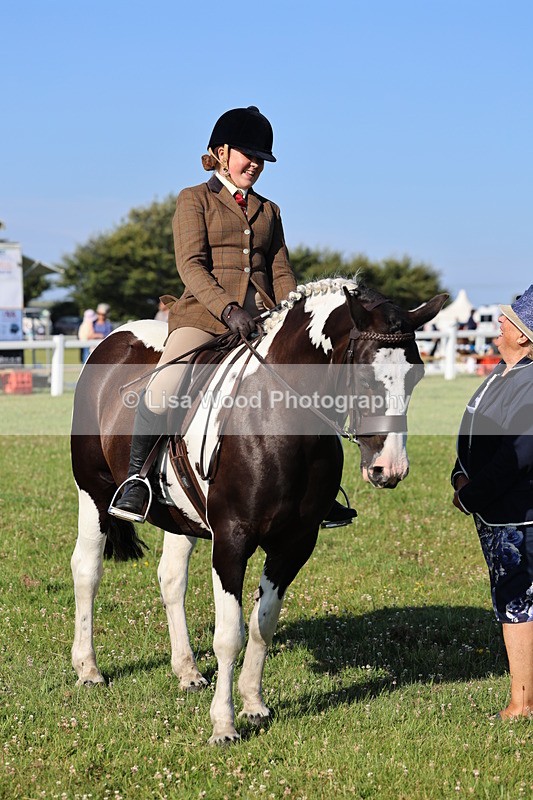 IMG_1387 - Class 28: Ridden Plaited Coloured Pony