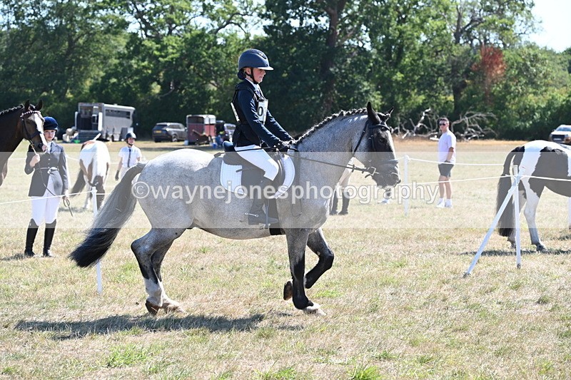 WJ6_8302 - Class 37a Best Loan Pony Ridden