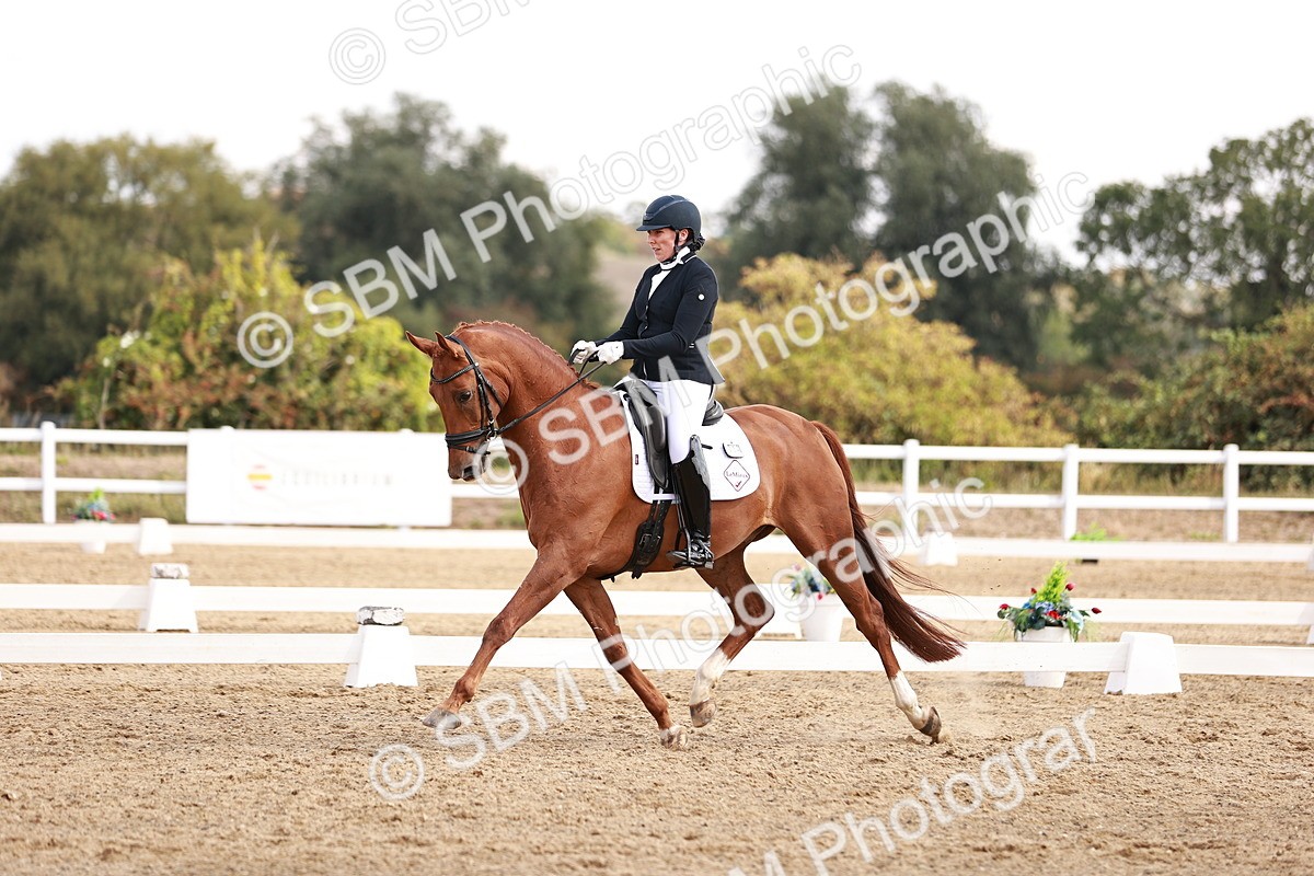 SBM_017678 - Class 11 - Advanced Medium 6