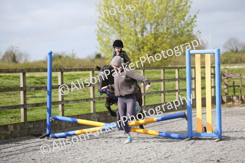 20260412-0120 - Show Jumping