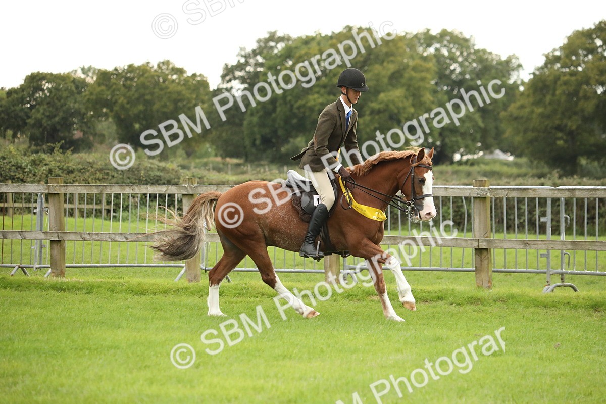 SBM_73887 - S41 - Ridden Equitation (Best Rider)