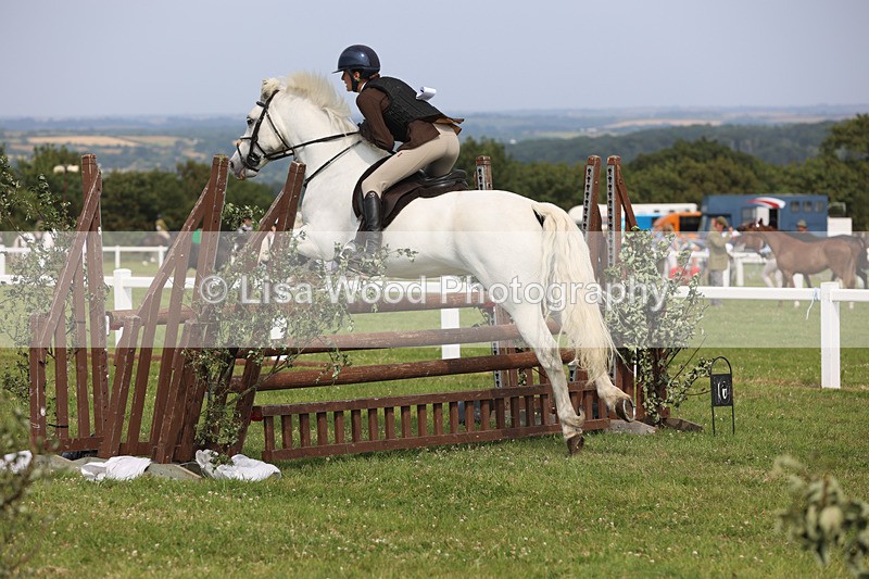JPP_4019 - Class 24: Working Hunter 90cm