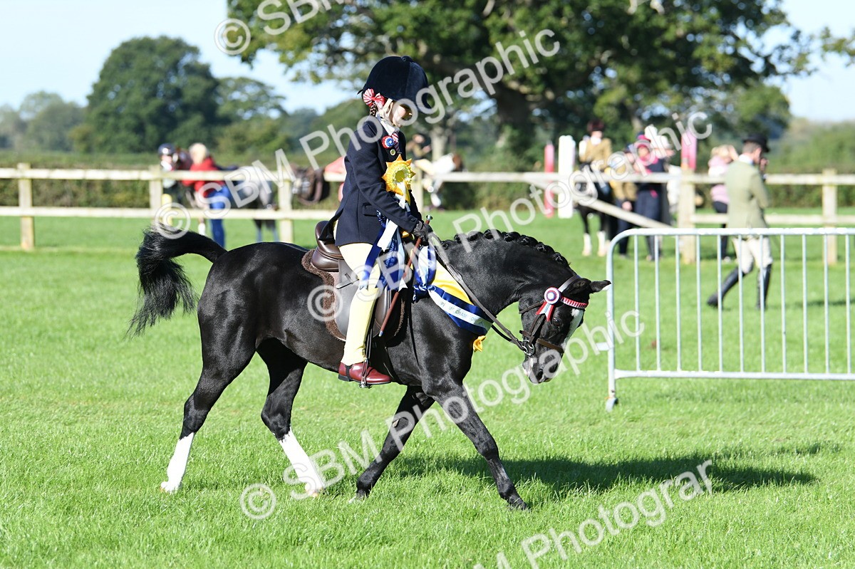 SBM_35623 - Top Turnout Supreme Championship