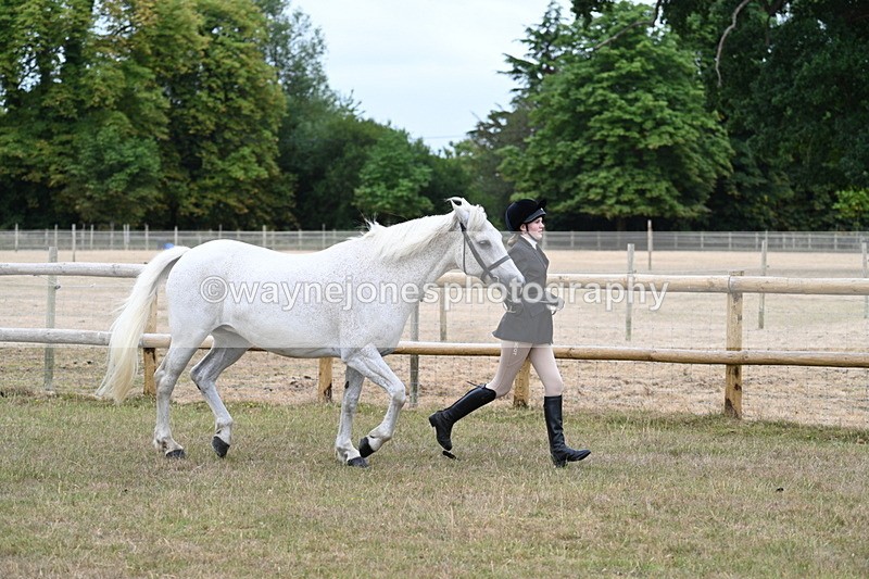 WJ7_8727 - Class 4a Prettiest Mare 14.2hh and over