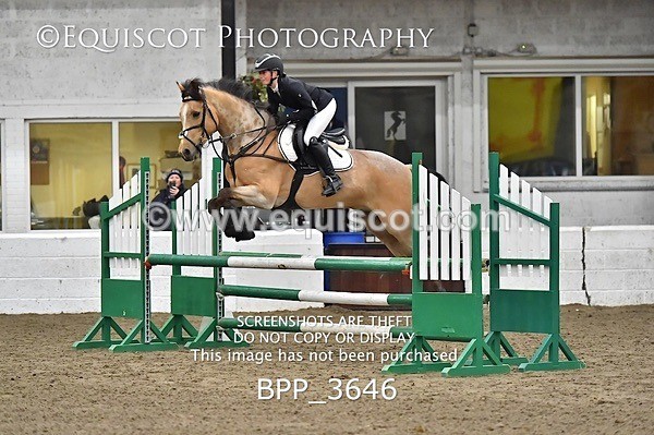 BPP_3646 - FRI CLASS 21 BR NOVICE/90CM