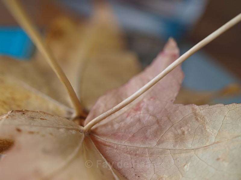  - Autumn Leaves