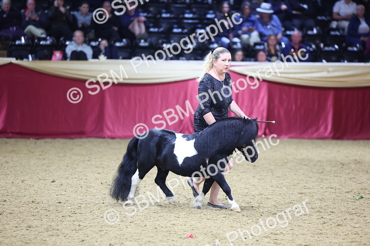 0B8A4412 - Class N M&M Champ