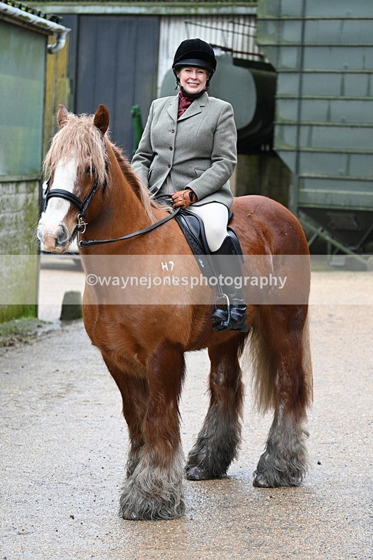 WJ7_8697 - Berks & Bucks - Rowles Farm 15-02-26