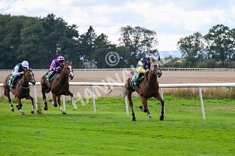 140926-Race 3-Majestic Jude-7056 - Race 3 3.21pm British Stallion Studs EBF Novice Stakes