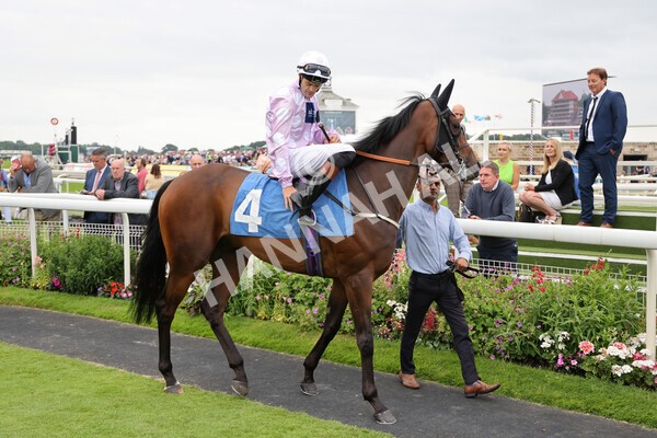 yr24072021r5-26 - Race 5 4.25pm Sky Bet Best Odds Guaranteed Stakes