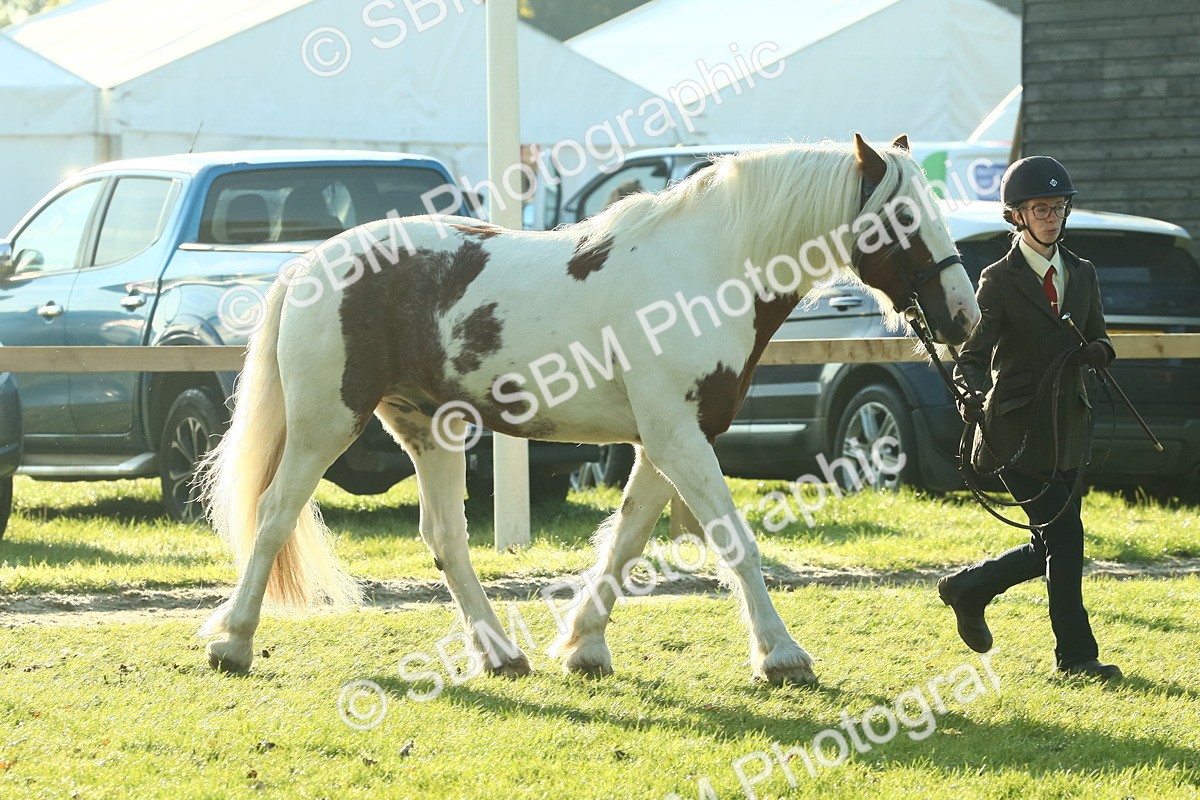 SBM_57418 - S37 - Starters In Hand Showing