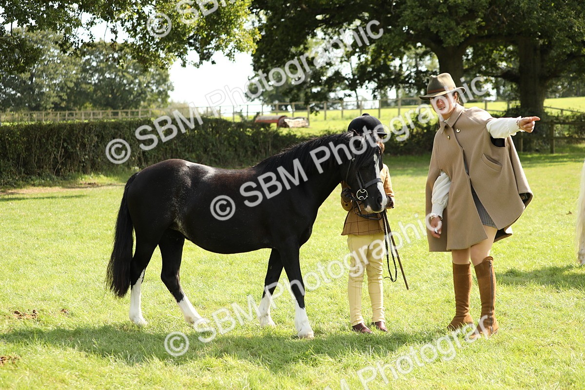 SBM_67800 - S39 - Junior Handler 8  Years & Under