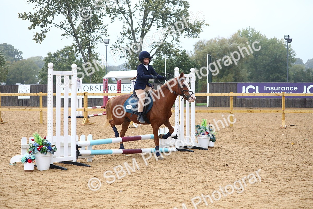 SBM_71658 - J4 - Mini Tour Junior Pony 45cm Championship