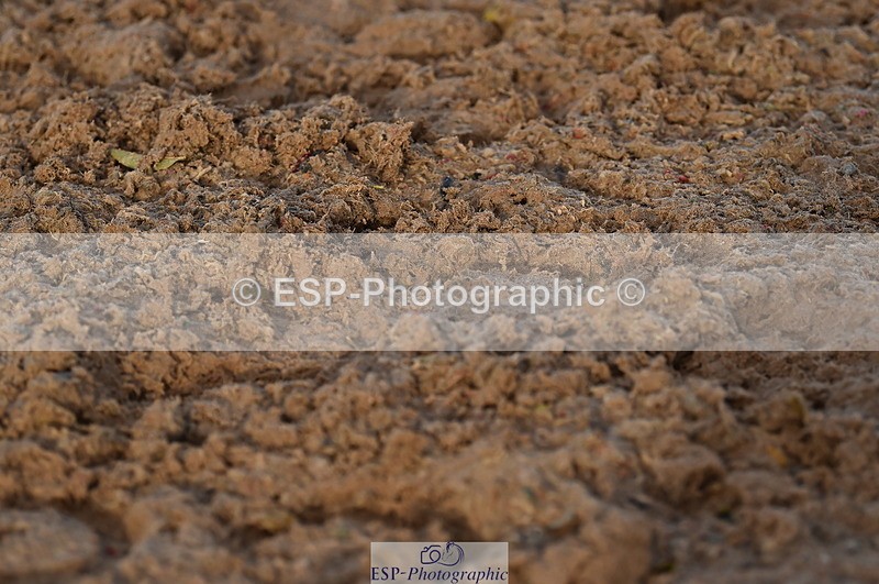 231104A-145746-02231 - Cls 10 Medium 61