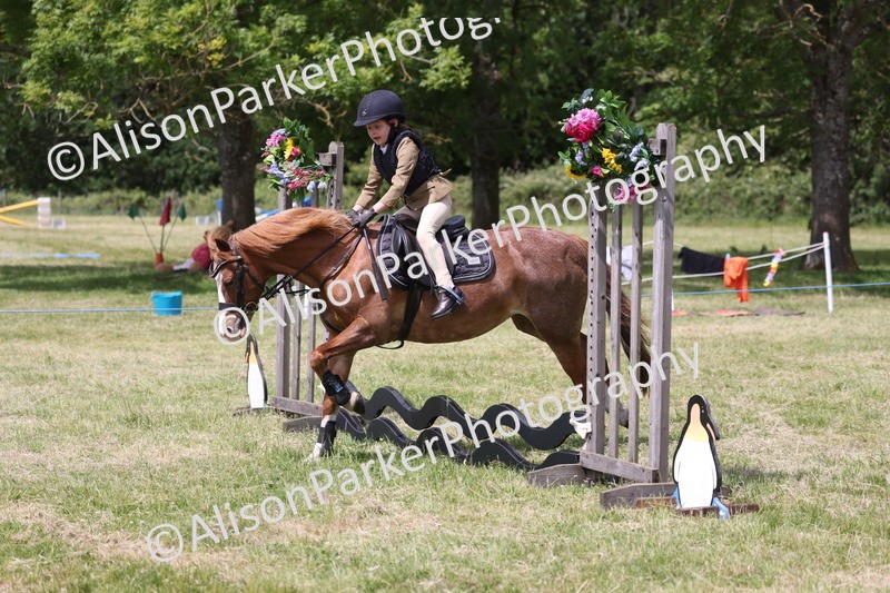 20260614-2005 - Class 21 - Novice Working Hunter Pony