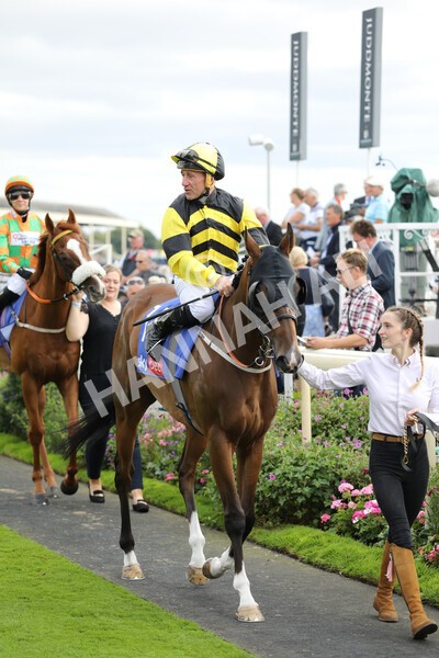 yr17082022r5-13 - Race 5 4.10pm Sky Bet Stayers Stakes