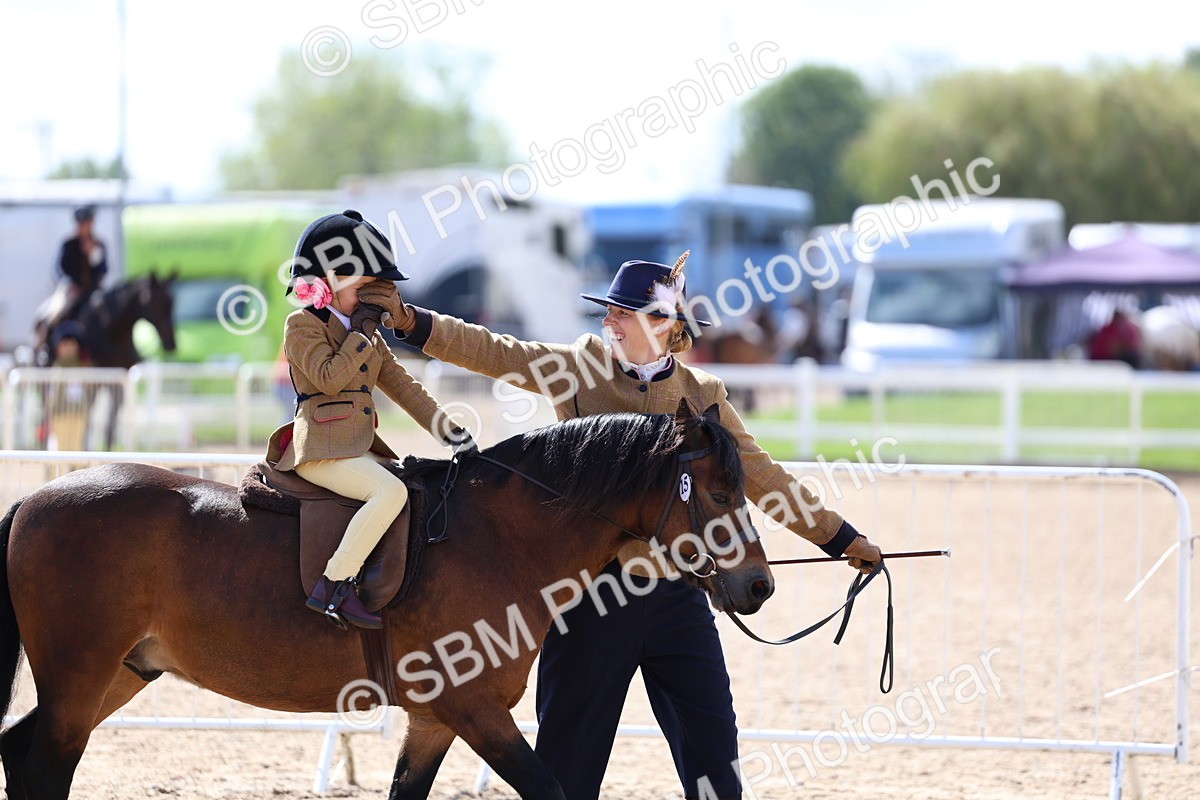 SBM_13062 - Class 309 - Lead Rein Pony