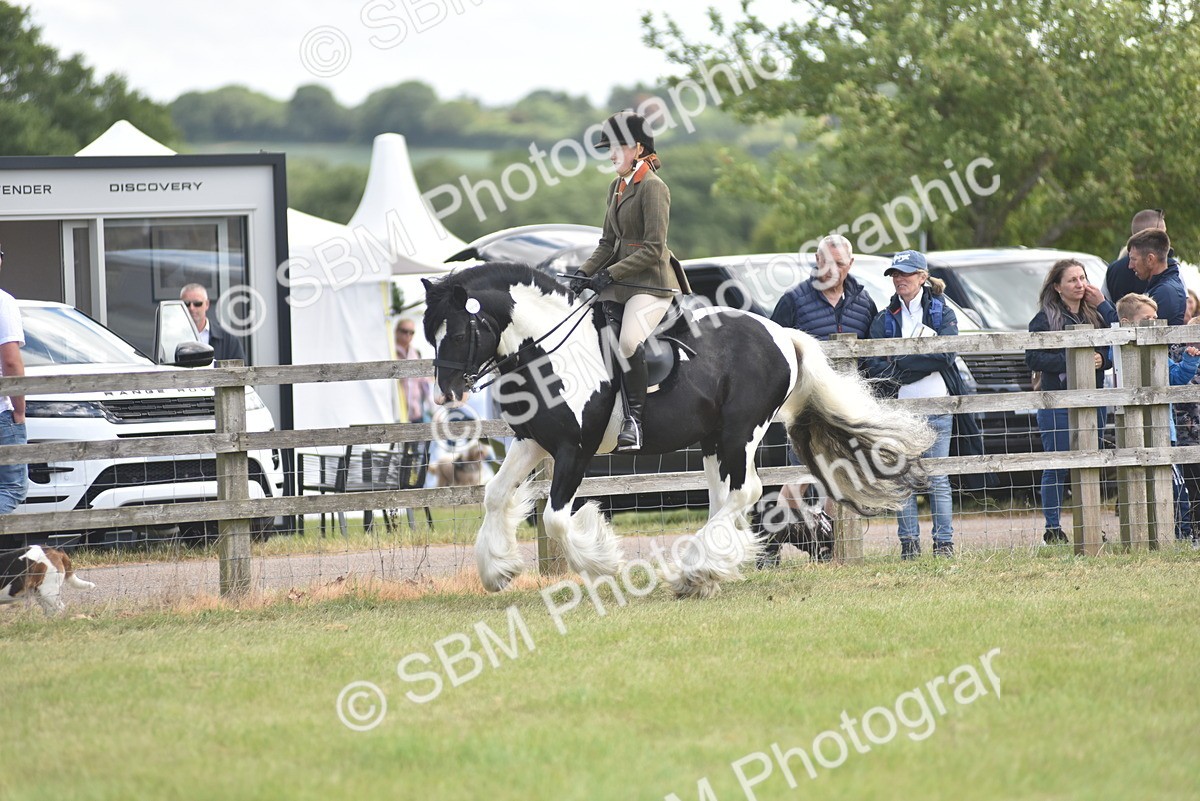 SBM_15887 - Class 117-122 - SSADL RIHS Qualifier