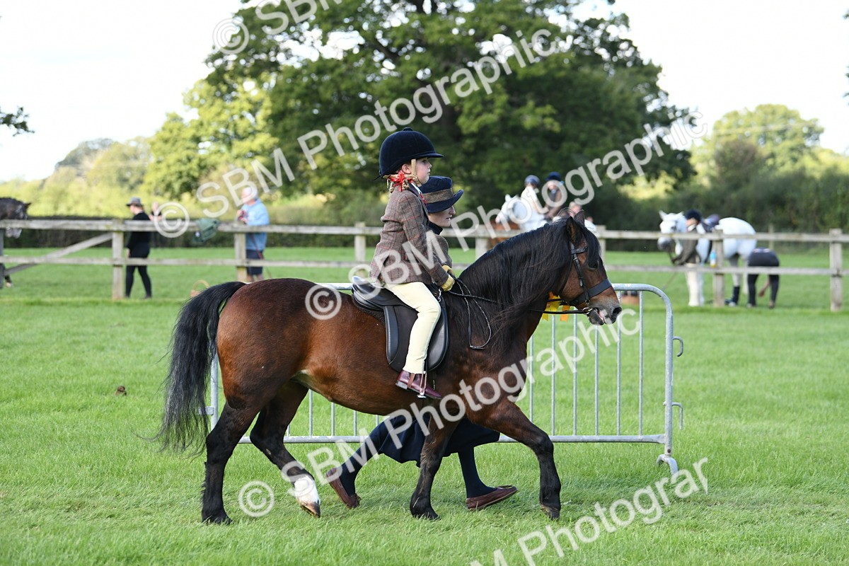SBM_39715 - S18 - Novice & Newcomers Lead Rein Pony