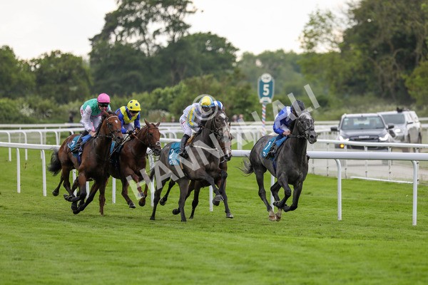 190523-Race 5-Mostabshir-7835 - Race 5 4.10pm Darley Novice Stakes