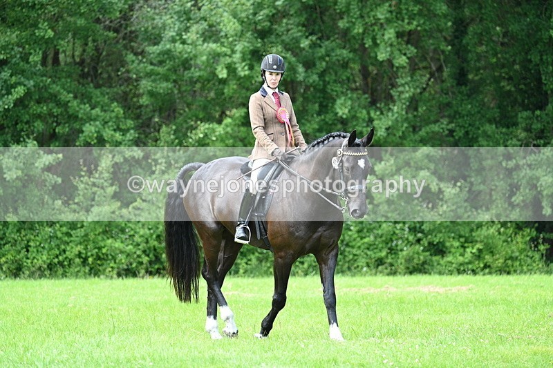 WJ7_1620 - Class 11 Condition & Turnout
