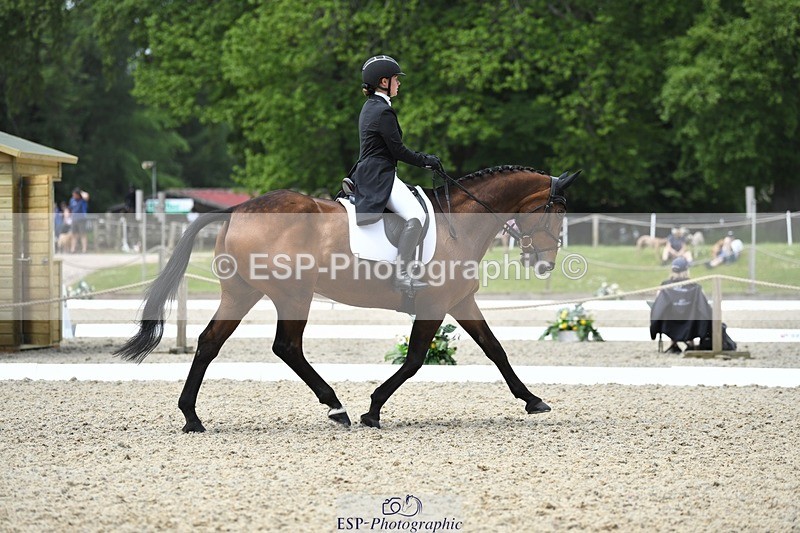 230525-114525-01898 - 103-CLOUDED_LEOPARD-Jessica_Coombes-WEDTrotUp+DR