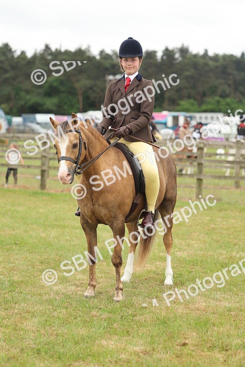 SBM_07128 - Class 76-77 - Ridden M&M Welsh Ponies