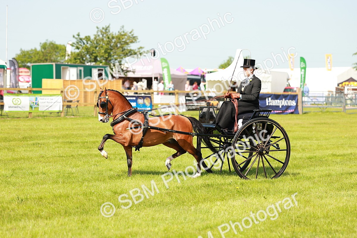 SBM_02681 - Class 2-4 - HOYS Private Driving