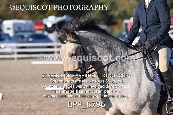 BPP_8796 - LONG ARENA