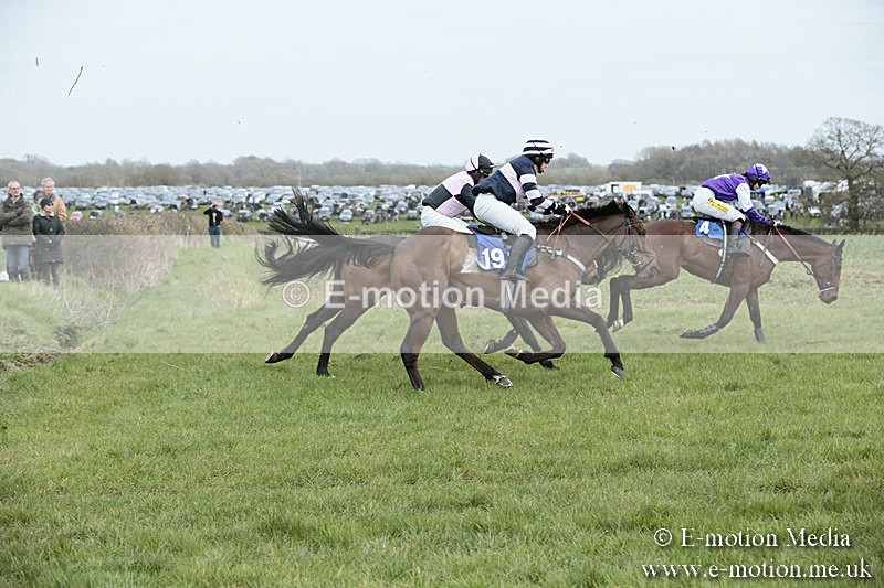 PtP 230319 197 - VWH Hunt Siddington Point-to-Point Racing 23/03/19