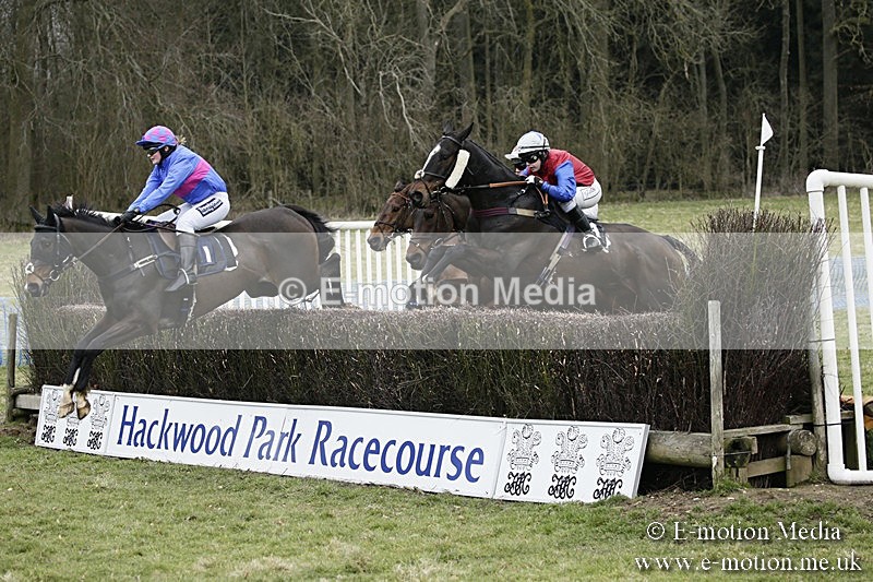 PtP 110318 139 - Hampshire Hunt Point-to-Point Hackwood Park 11/03/18