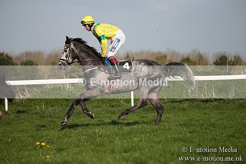 PtP 210418 591 - South & West Wilts Point-to-Point Larkhill 21/04/18